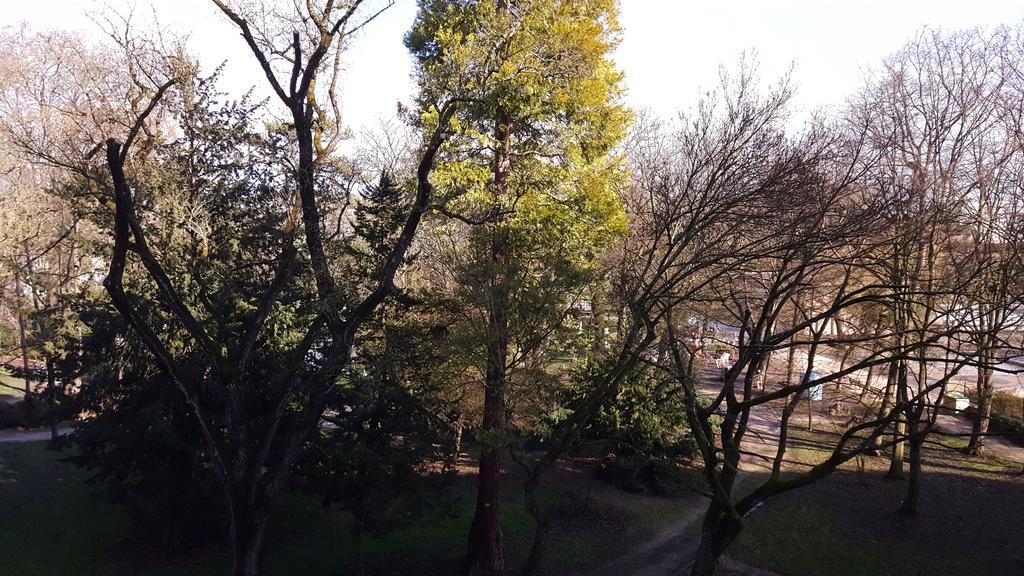 Sweet Home Dijon-Arquebuse Екстер'єр фото